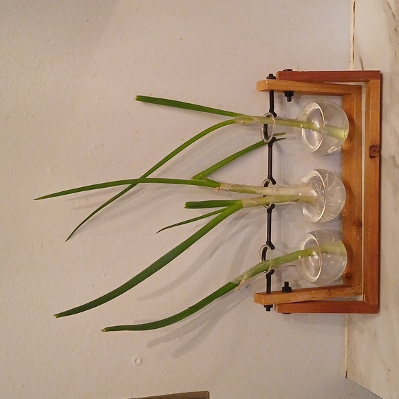 Two Better Homes And Gardens Propagation Station With Wooden Stand. - Picture 9 of 9